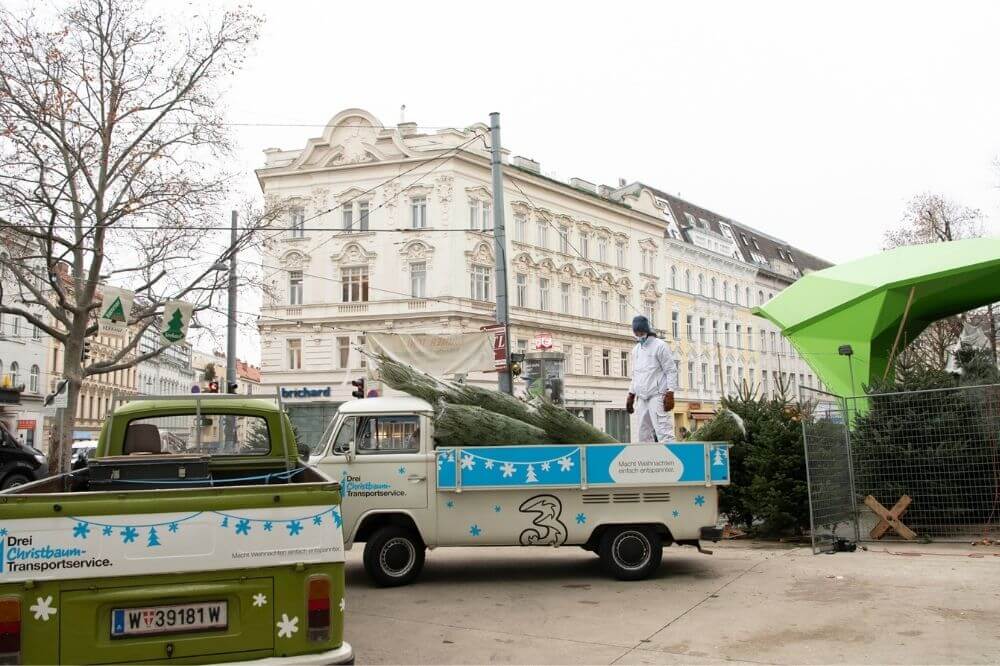 der Christbäume