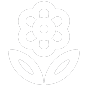 Icon macro focus