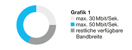 Netzwerkmanagement Grafik 1