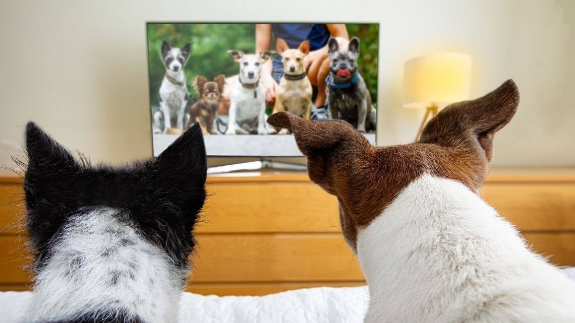 MIt Apple TV die Welt des iPhones auf den Fernseher bringe3n MIt Apple TV die Welt des iPhones auf den Fernseher bringe3n