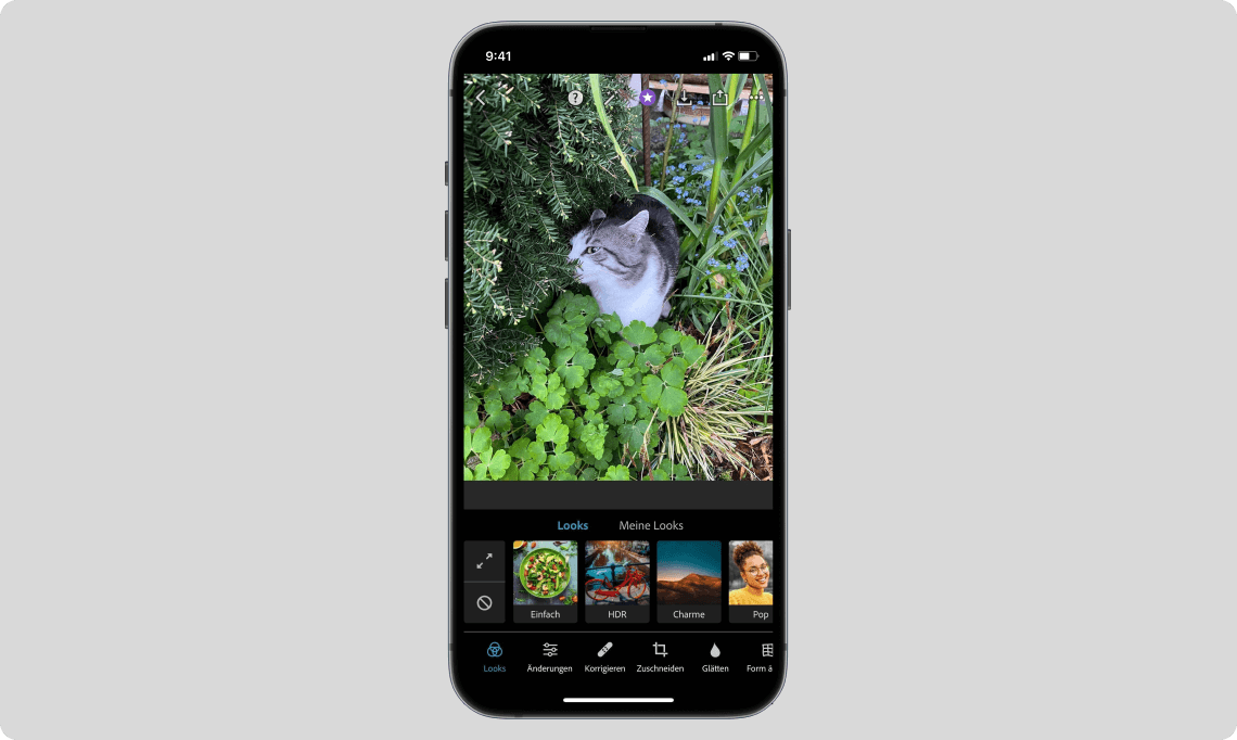 Adobe Photoshop Express Screenshot