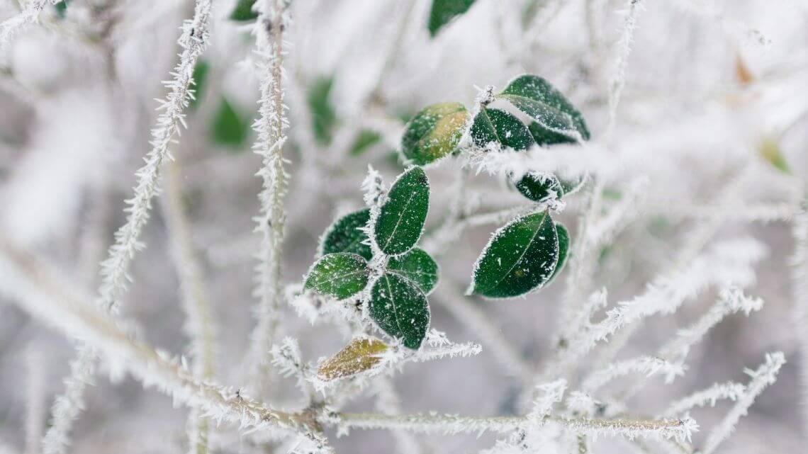  Fotografieren im Winter: So gelingt das perfekte Winterfoto. 