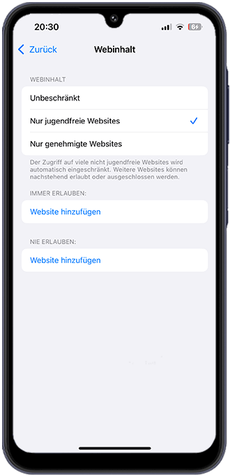 Schritt 4: Besonders wichtig sind die Einstellungen zum Webinhalt. 