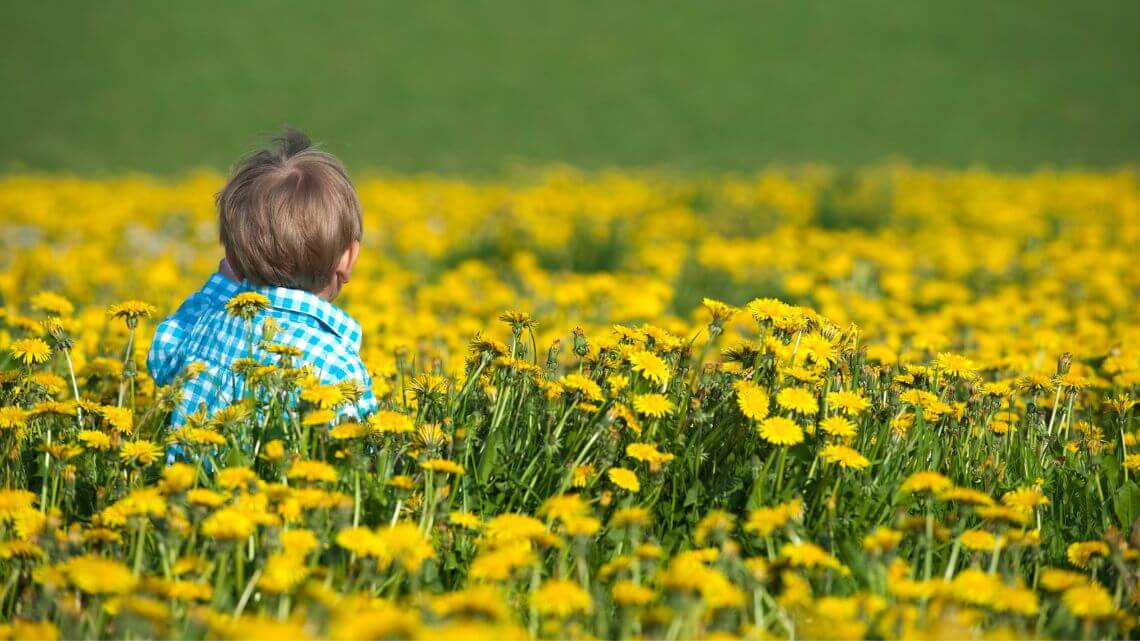 Kinderfotos im Internet & das Gesetz in Österreich: Was ist erlaubt?