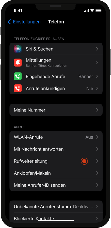 Anleitung Rufumleitung iPhone Schritt 2