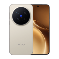 vivo X300 Pro