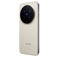 vivo X300 Pro